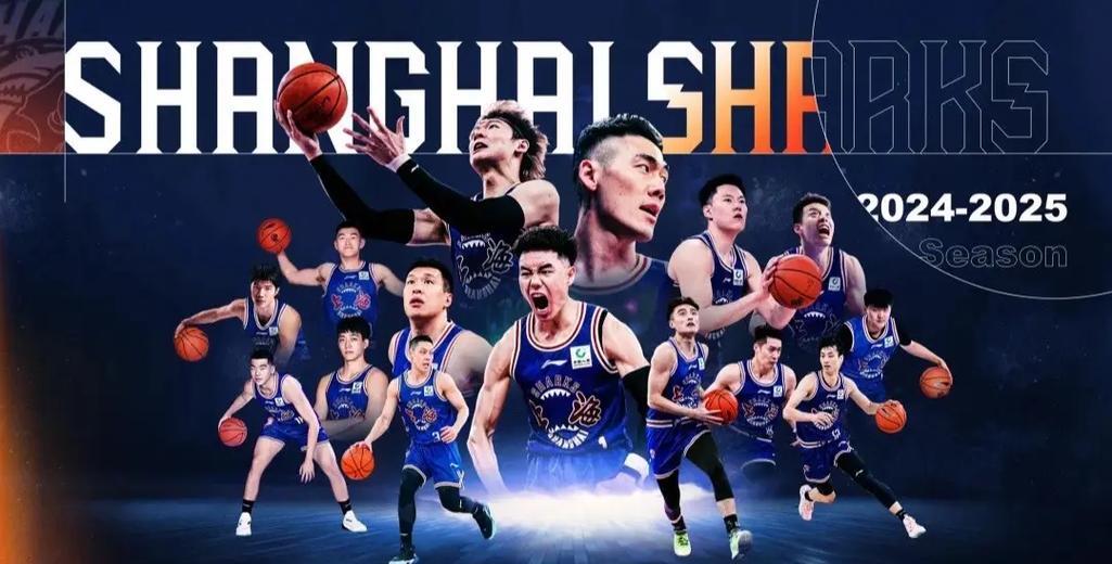 半岛体育app安装-激烈角逐！CBA季后赛争霸战的简单介绍